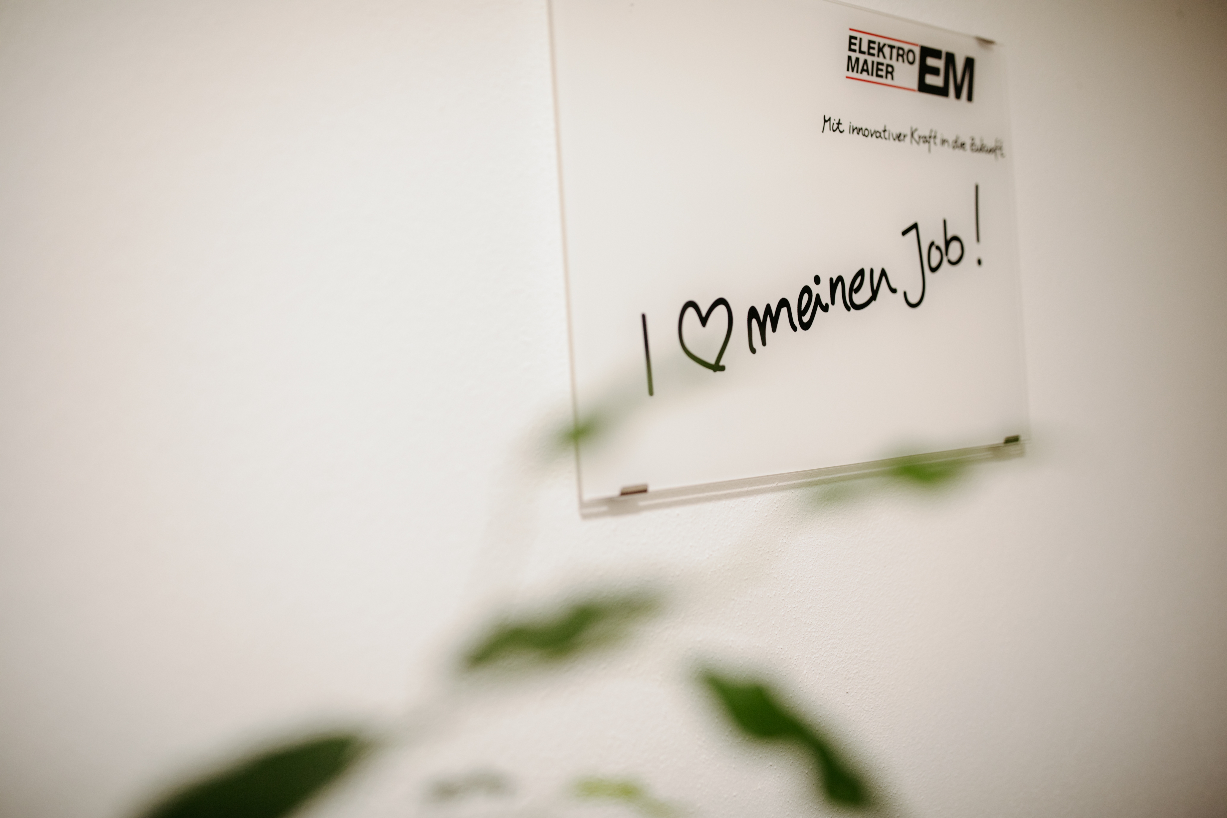 Auszubildender Kaufmann für Büromanagement (m/w/d)